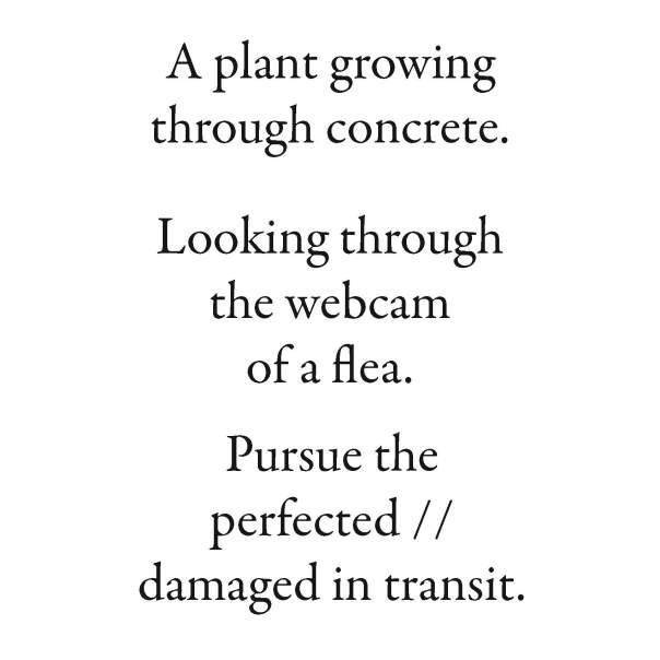 seekers of lice6_Page_043