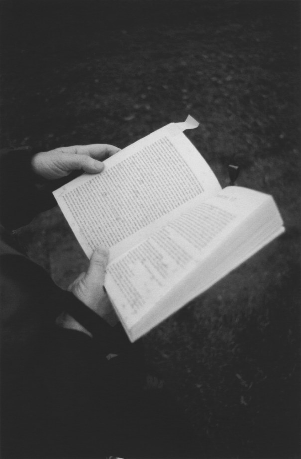 Reading at Lewisham Park